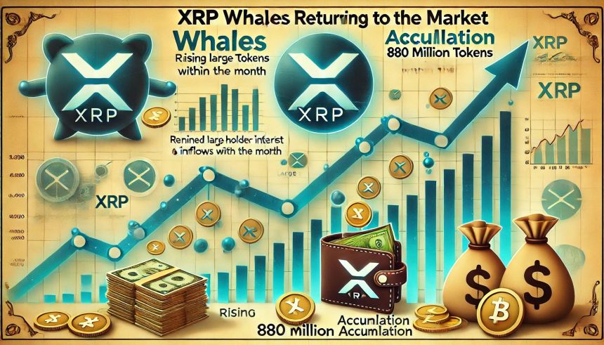 XRP Whales Are Back – 880M Tokens Accumulated This Month
