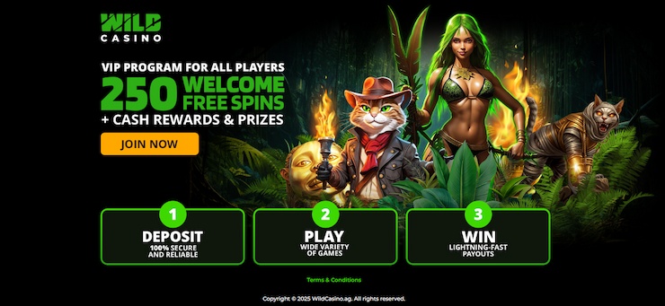 wild casino sign up bonus