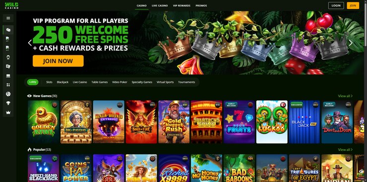 wild casino sign up bonus and slot games