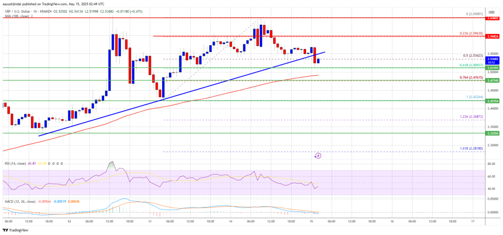 XRP Price Pulls Back but Holds Support — Bulls Still in the Game