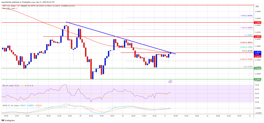 XRP Price