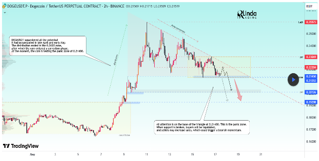 Dogecoin Price Tests Panic Zone At $0.21, Breakdown Could Lead To Price Crash