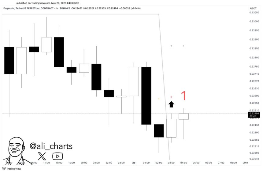 Dogecoin TD sequencial pisca um sinal de compra no gráfico horário | Fonte: Ali Martinez em X