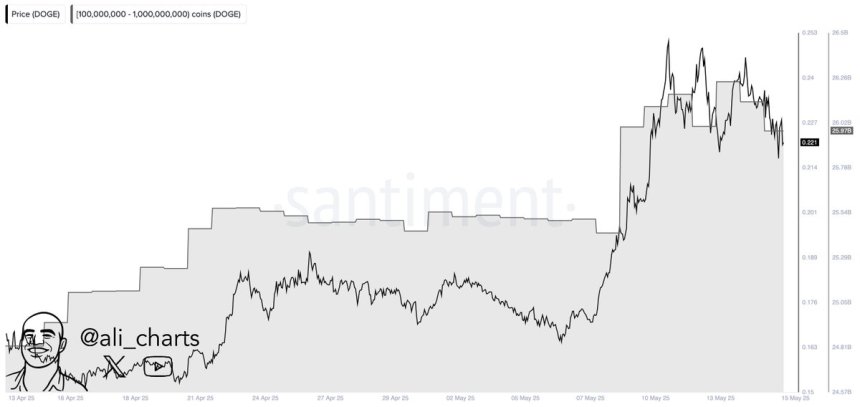 Dogecoin whales bought 1B DOGE in a month | Source: Ali Martinez on X