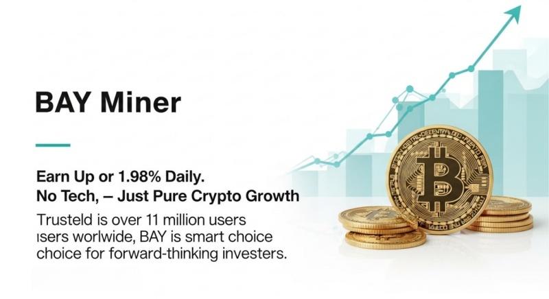 BAY Miner