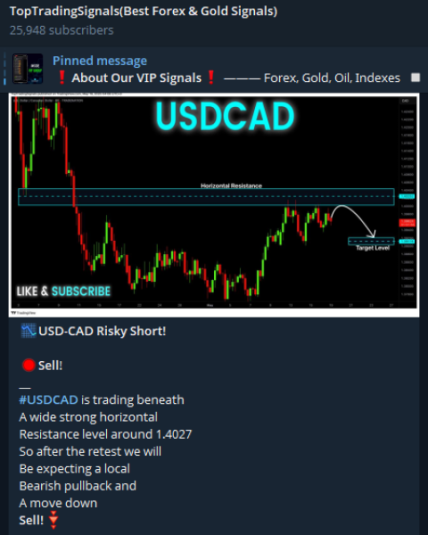 TopTradingSignals Telegram channel.