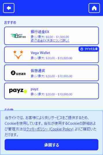 ベガウォレット対応カジノシークレットのインターフェース