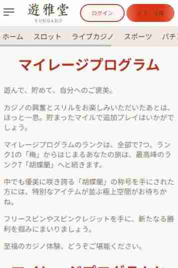 遊雅堂のオンラインカジノハイローラー向けサービス