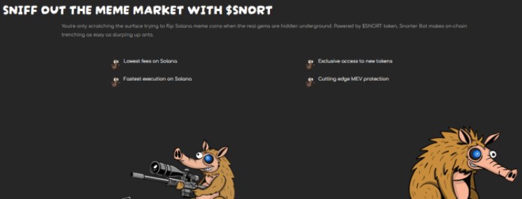 Snorter token benefits
