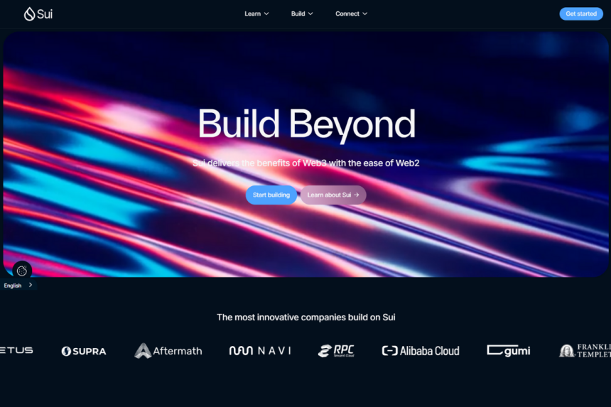 sui 1000x Crypto