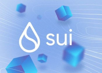sui network