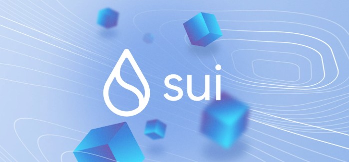 sui network