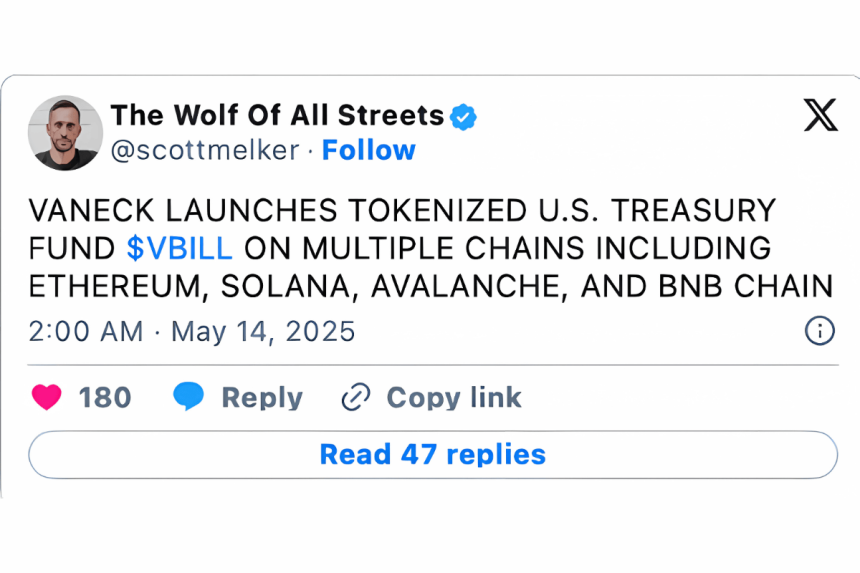 the wolf of all streets