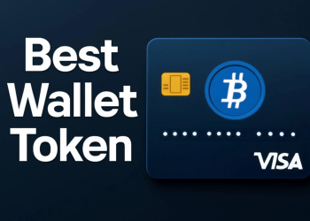visa best wallet