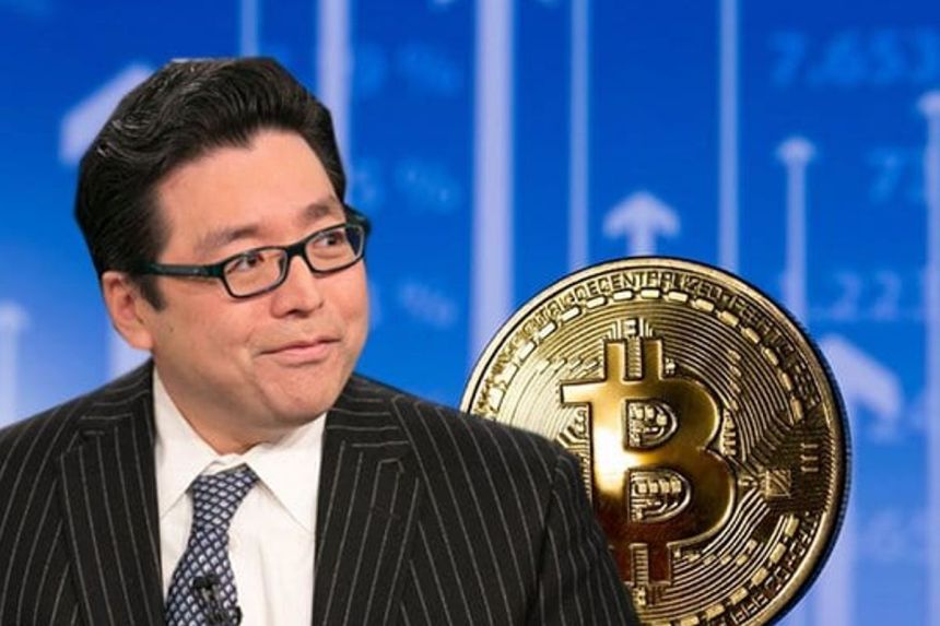 Tom Lee, bitcoin koers, wat gaat Bitcoin doen