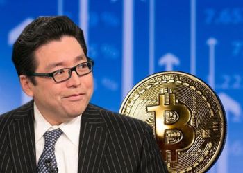 Tom Lee, bitcoin koers, wat gaat Bitcoin doen