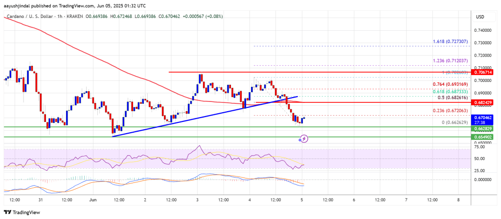 Cardano Price