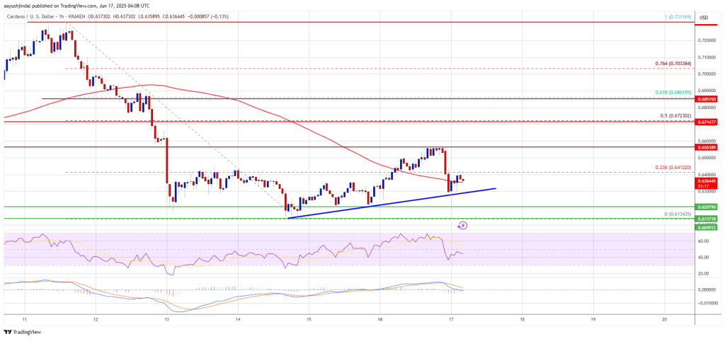 Cardano Price