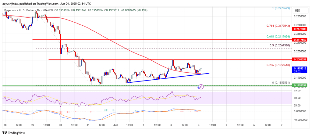 Dogecoin Price