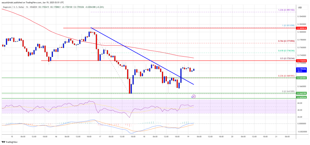Dogecoin Price