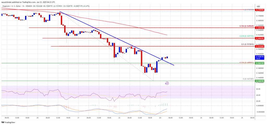 Dogecoin Price
