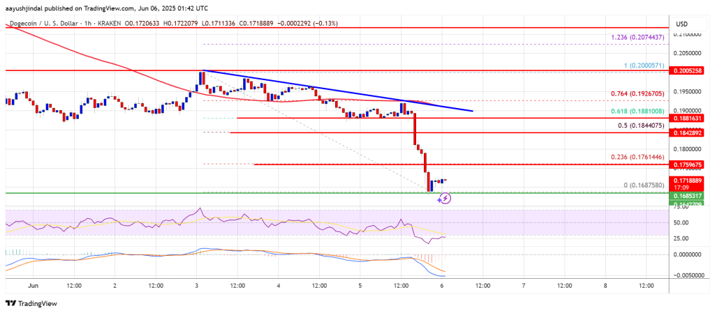 Dogecoin (DOGE) Gains Bearish Momentum: A Buying Opportunity or Warning Sign?
