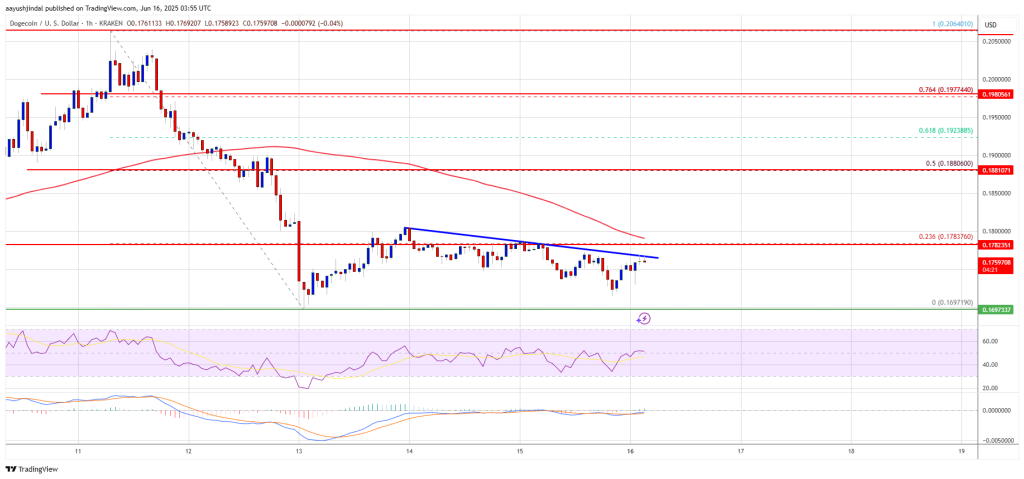 Dogecoin Price