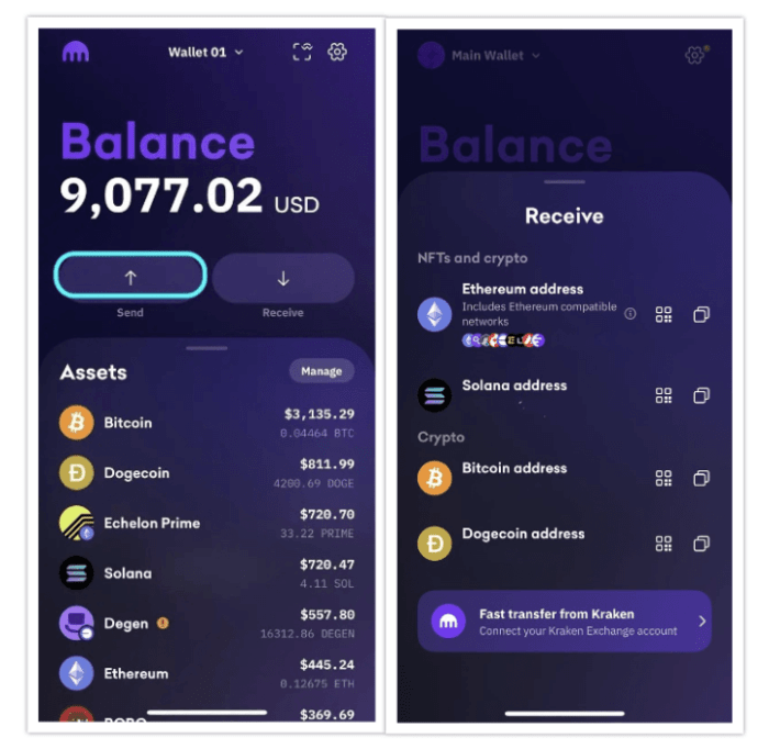 Kraken Wallet lets you send and receive crypto within the app.