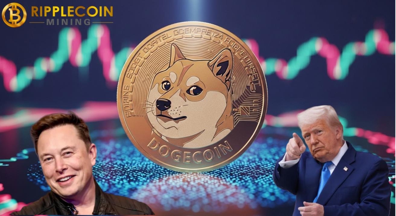 NewsBTC - Business - News Image