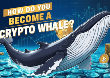 How to quickly earn $80,000 a day, the best and most stable investment platform for whales CryptoMiningFirm