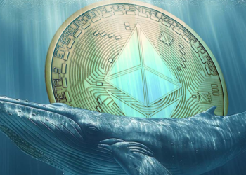 ETH whales investeren opnieuw tegen hogere prijzen – nu Ethereum kopen of niet?
