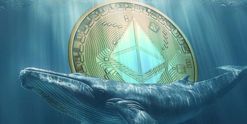 ETH whales investeren opnieuw tegen hogere prijzen – nu Ethereum kopen of niet?