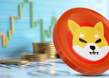 Crypto expert: kan de Shiba Inu koers stijgen naar $0,00003 niveau?