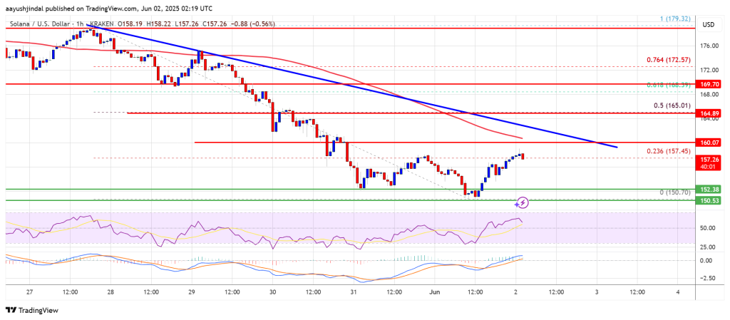 Solana (SOL) Continues to Fall — Is a Reversal in Sight?