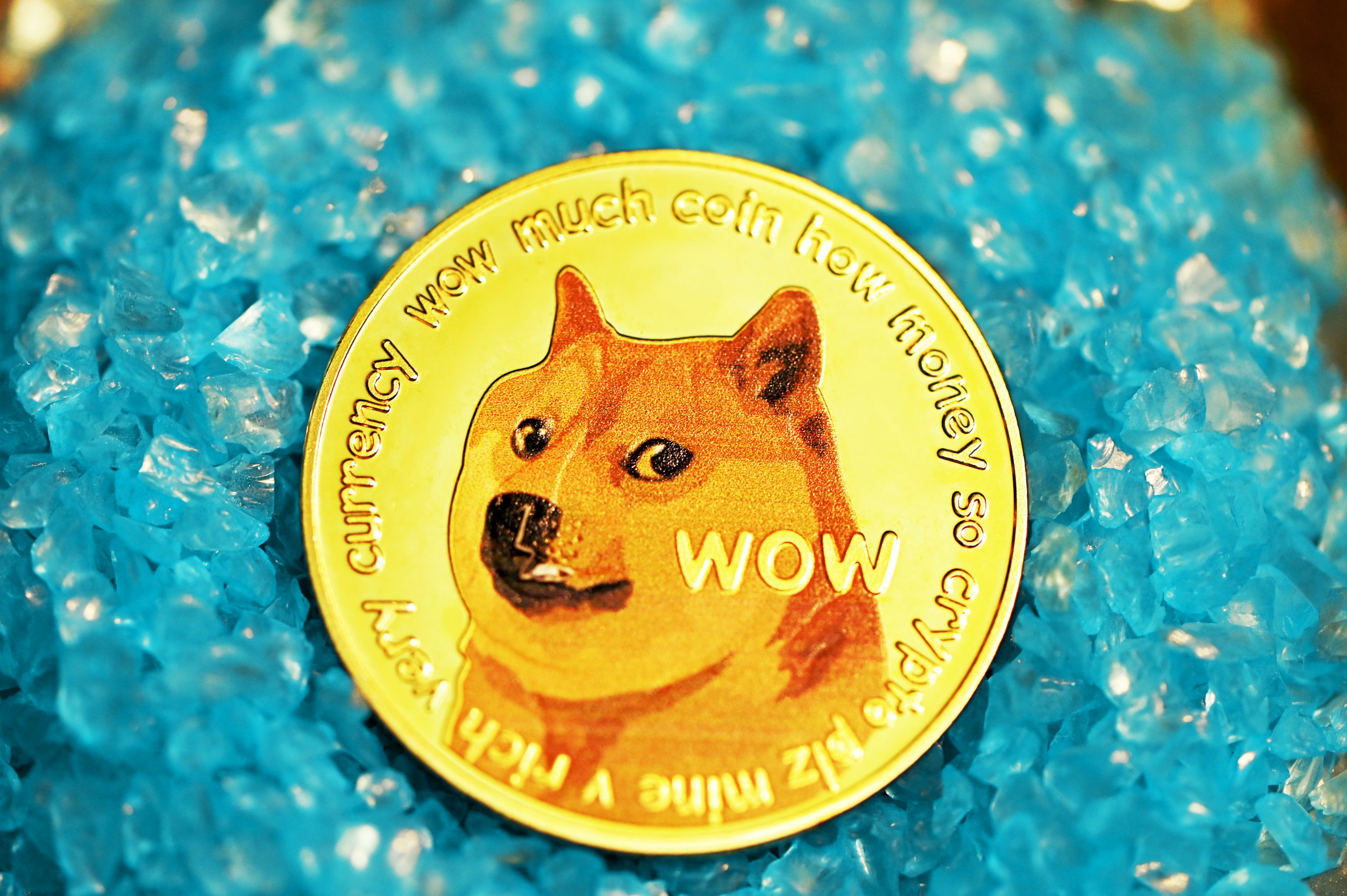 312 Million Dogecoin Moved To Coinbase – What’s Going On?