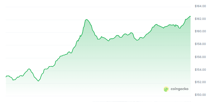 Crypto Market