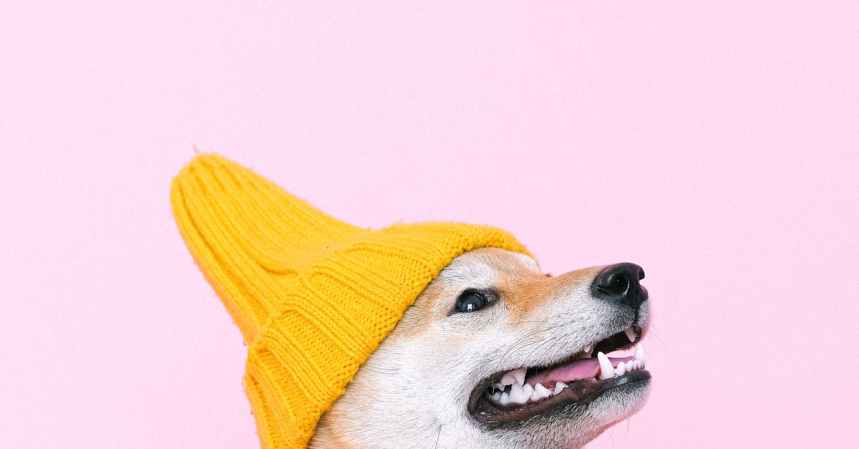 dogwifhat