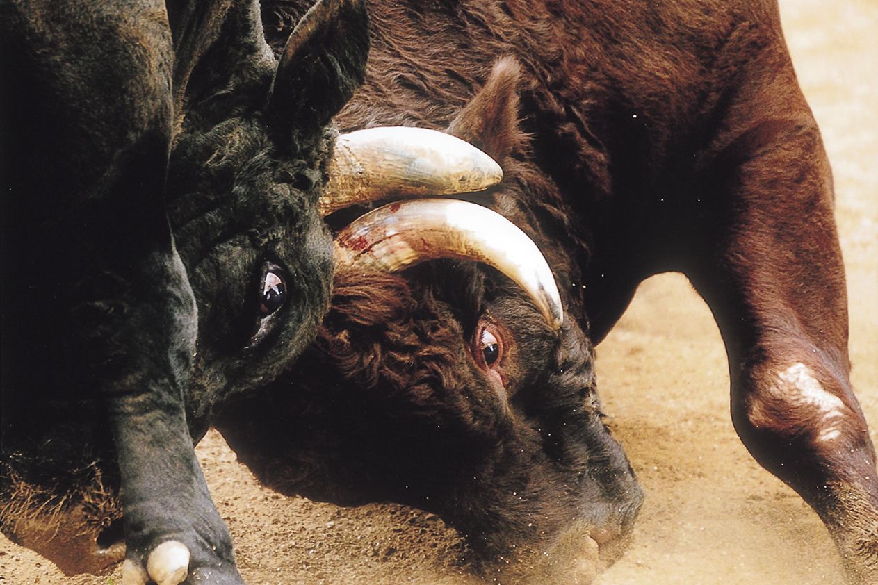 XRP Is Bitcoin’s Biggest Rival, Says Pundit XRP Is Bitcoin’s Biggest Rival, Says Pundit