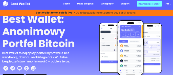 najlepsze kryptowaluty poniżej 1 usd best wallet