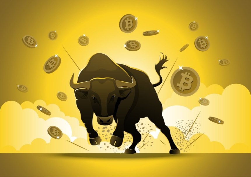 bitcoin bull run