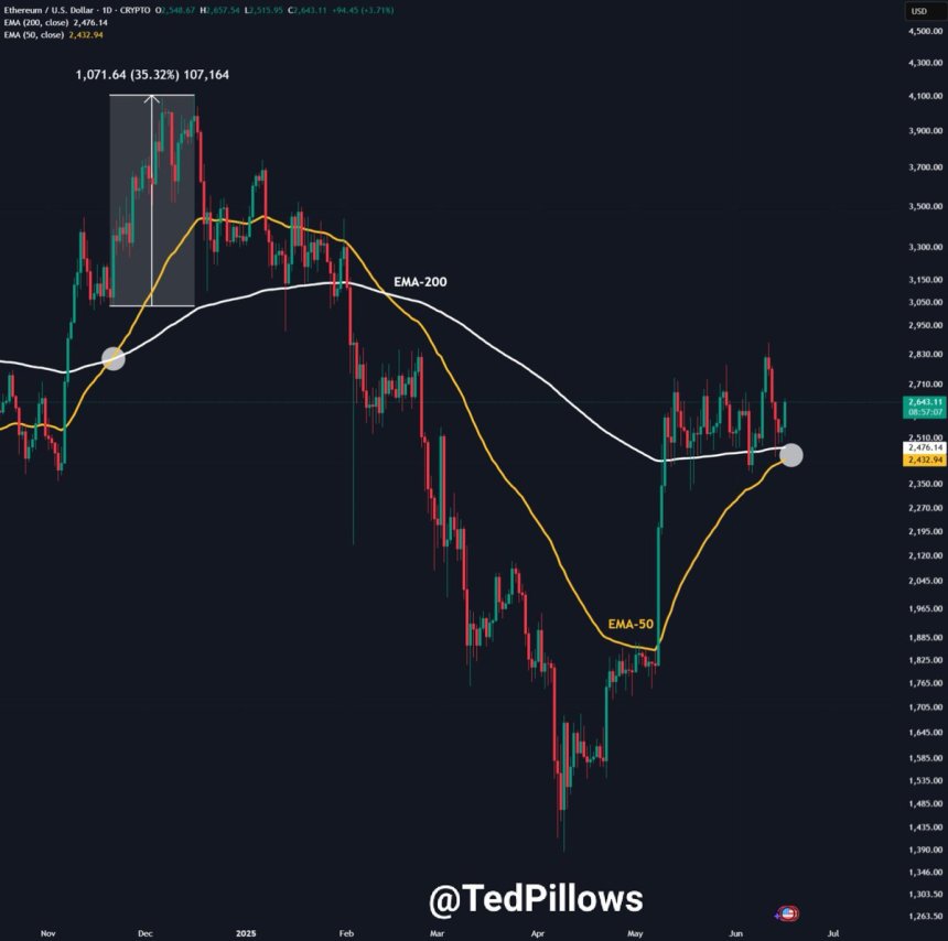 Ted Pillows on X