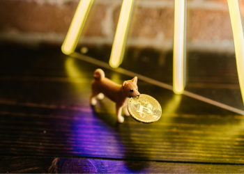 Shiba Inu Coin Price: What’s Fueling the Fluctuations Behind the Popular Meme Token?