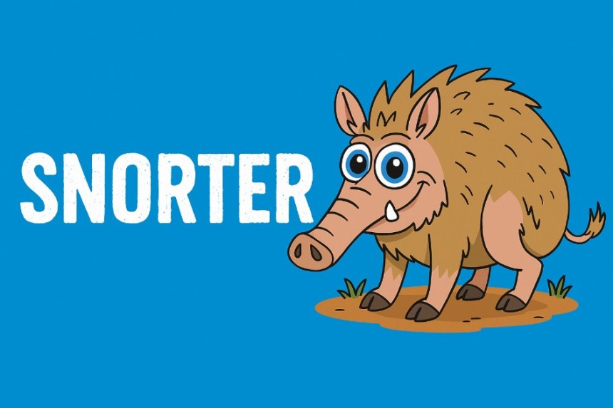 Snorter token é uma das memecoins em alta para investir 