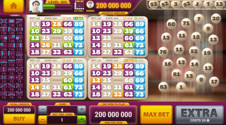 Kas ir video bingo?