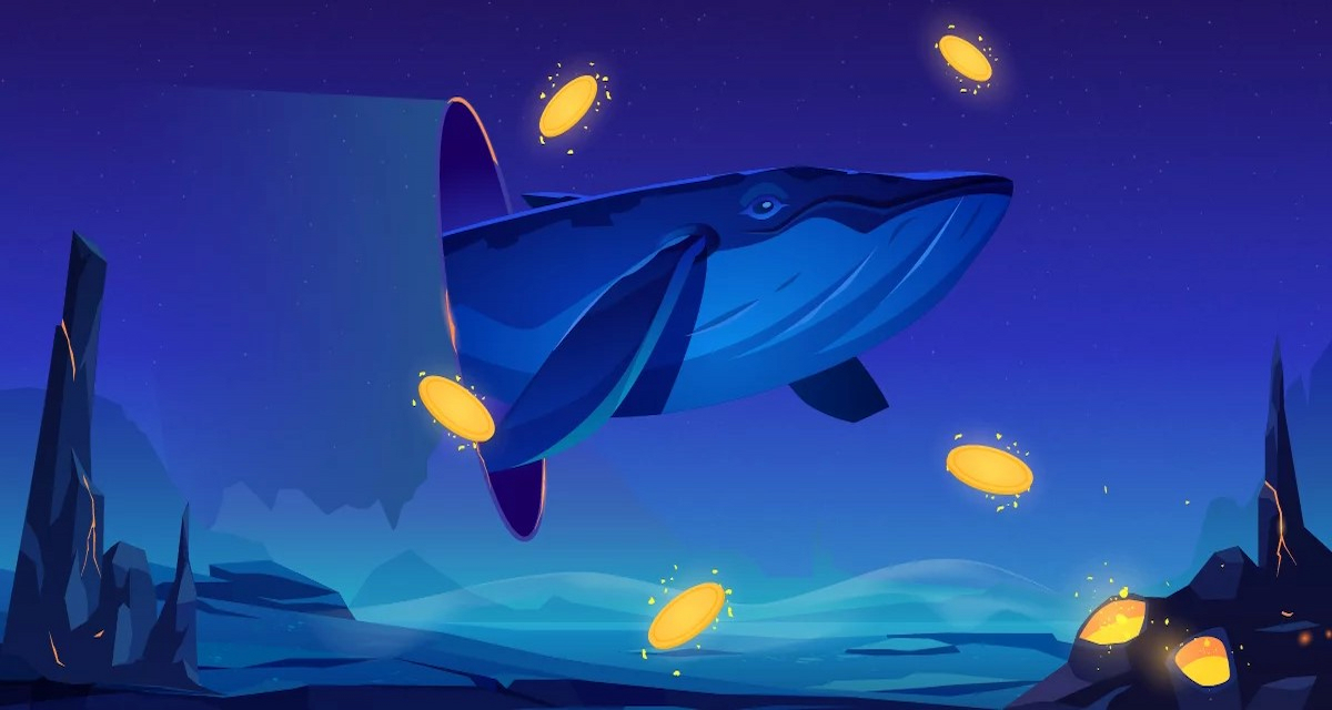 Ce cumpără „whale”-ii pentru câștiguri potențiale în iunie