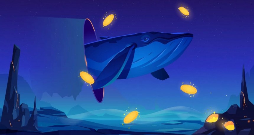 Ce cumpără „whale”-ii pentru câștiguri potențiale în iunie