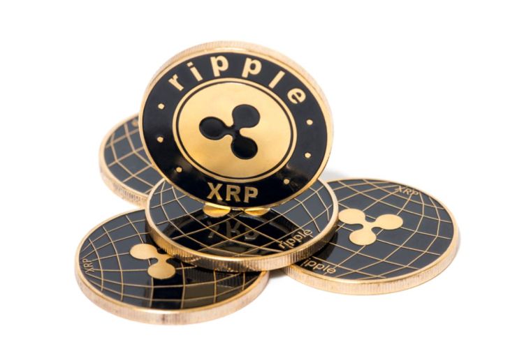 XRP ETF pradės prekiauti Kanadoje – kriptovaliutos kaina pakilo 7 %