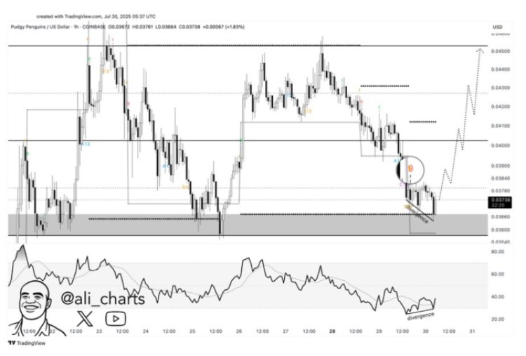 Memecoins Are Back: Pengu Flashes Buy Signal as Maxi Doge Raises $100K in Presale