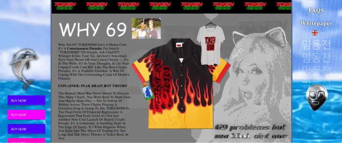 A snippet from TOKEN6900’s retro-themed website.