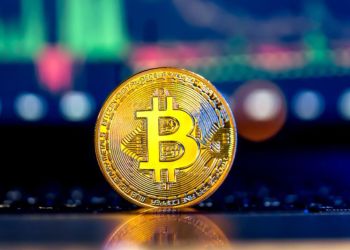 来週注目のアルトコイン：XRP、Sui、Pudgy Penguinsが新たな史上最高値を目指す